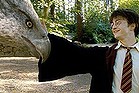 Harry Potter with a hippogriff called Buckbeak.