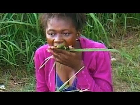 South African Congregation Eat Grass To Show Their Devotion