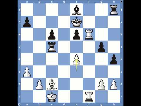 2013 World Chess Championships Carlsen vs Anand - Game 5