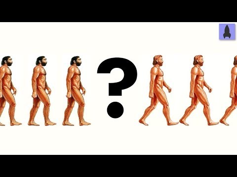 There Was No First Human | It's Okay To Be Smart | PBS Digital Studios