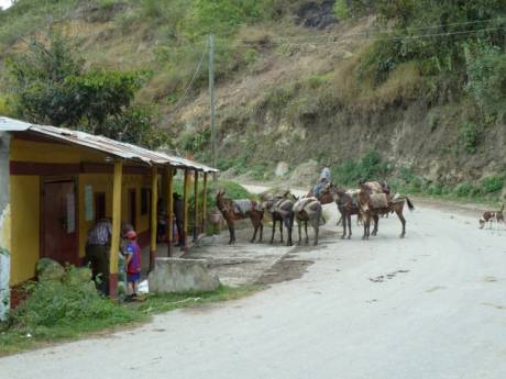 El corregimiento de Anaime, Cajamarca, Tolima. (Fotografa de Jos Antonio Gutirrez D.)