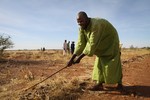 File - A local man takes advantage of the World Food Programme (WFP)’s food-and-cash for work programme in the village of Dan Kada, Maradi Region, Niger, November, 2011, after poor harvests brought on by drought.