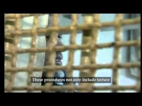 Palestinians Behind Bars: Prisoners Without Human Rights