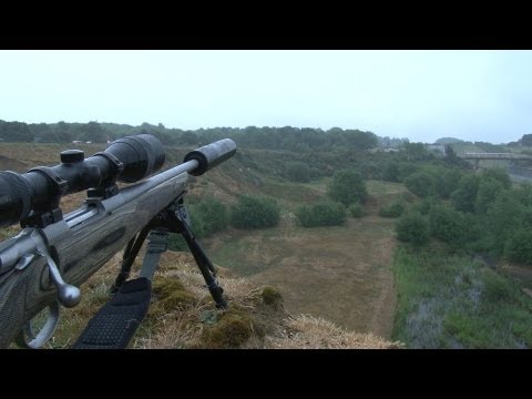 Long range daylight fox shooting