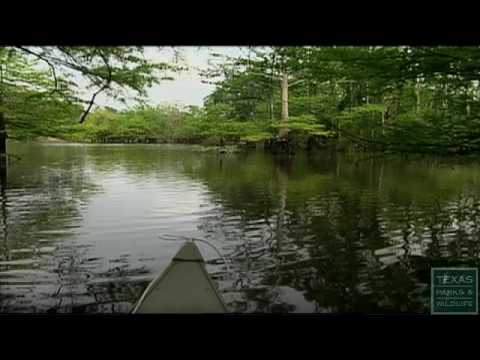 Village Creek Paddling Trail - Texas Parks and Wildlife [Official]