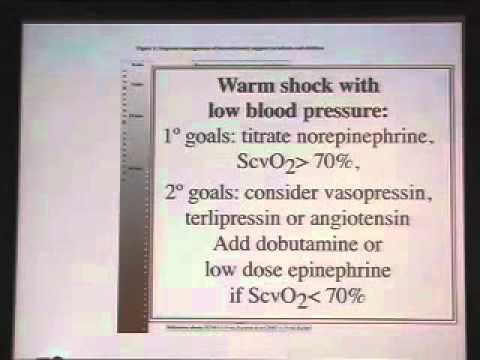 ACCM/AHA/PALS Guidelines for Hemodynamic Support of Septic Shock: After the First Hour