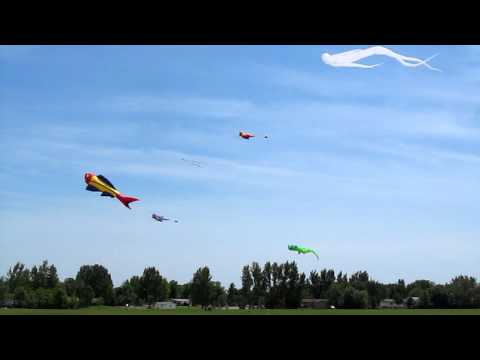 Kites in Jamestown, North Dakota (June 18th)