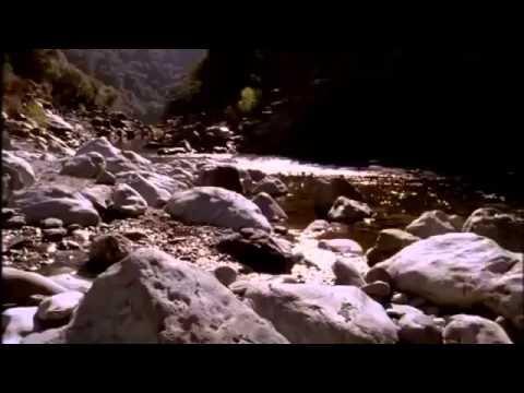 History The Gold Rush -Documentary