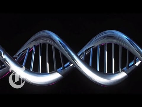 Times Minute 3/4/14 | How to Edit DNA | The New York Times