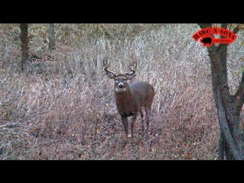 Nov 5 - 8 2013 BEST Self-Filmed Illinois Deer Hunt Ever - Hunting Rutting Whitetail Bucks