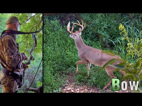 Bow Hunting Deer: Early Season Bow Kills