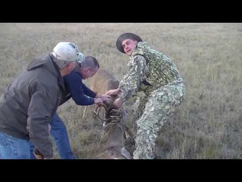 Hunters rescue deer from pack of Coyotes. ***Warning***Graphic***