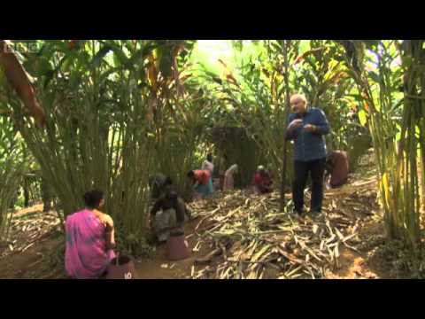 Rick Stein's India Episode 3 BBC full documentary 2013  Tamil Nadu - the land of temples.