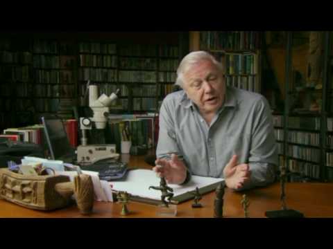 David Attenborough, Inaccuracies in Darwin and the Tree of Life (Evolution Principle-MJM)