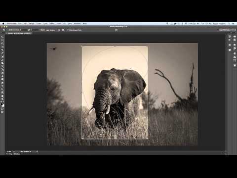 Adobe MAX: Hidden Gems in Photoshop