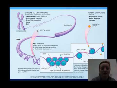 Gene Expression and Regulation