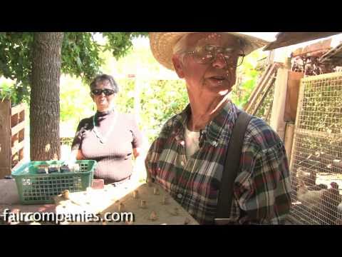 Backyard farmers by necessity: self-sufficient & debt-free