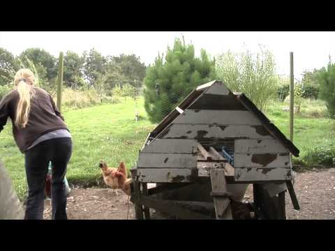 Self Sufficient Eco Farm - Documentary