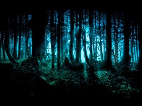 Dark Forest/Goa/Twilight/Progressive Psy Trance Mix - 2013 - ToPsy Turvey - Into The Night Garden