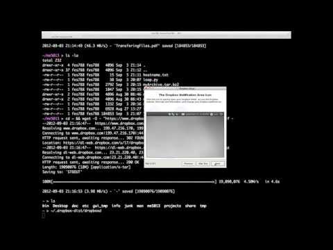 Unix Commands Tutorial for Beginners