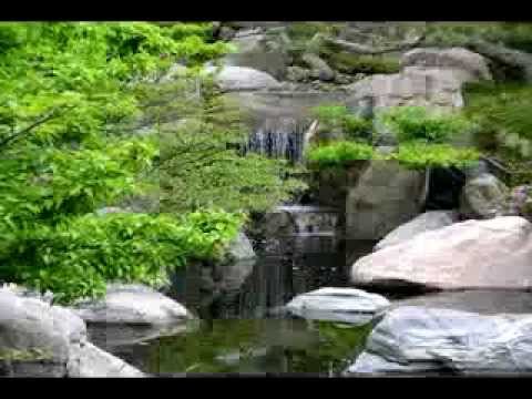 Zen Garden: Japanese Meditation Music