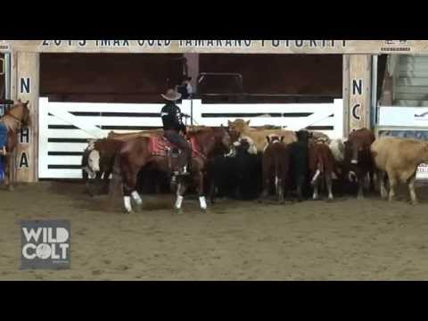 Colin Friels wins Celebrity Cutting at NCHA 40th Futurity 2013