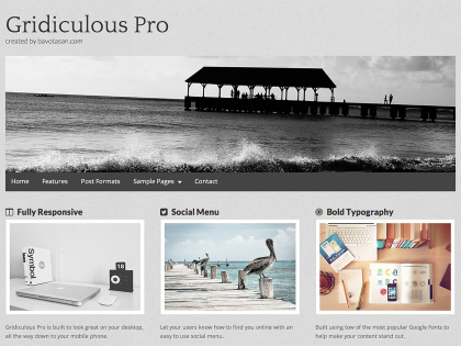 Gridiculous Pro WordPress Theme