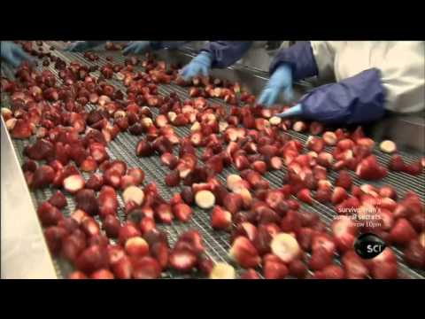 How It's Made - Frozen Fruit