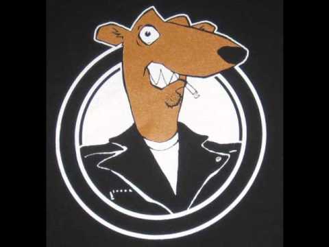 Screeching Weasel - You Are My Sunshine