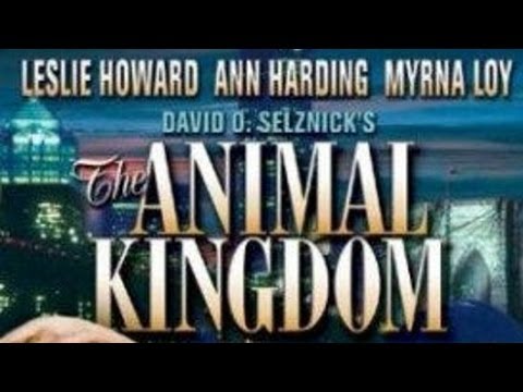 Animal Kingdom