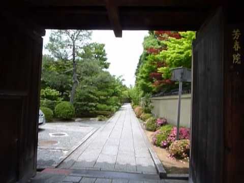 京都　紫野大徳寺　新緑の三門から芳春院参道(Daitokuji Hoshuin Temple in Kyoto)