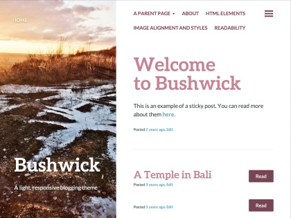 Bushwick WordPress Theme