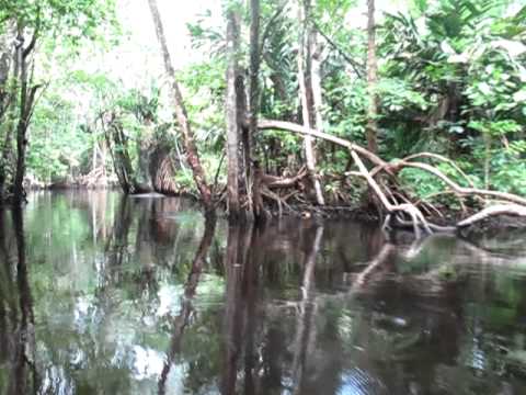 Avion Channel, Orinoco Delta, Venezuela