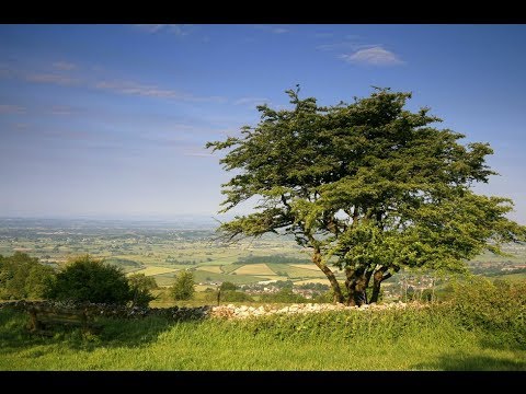 Greentraveller Video of The Mendip Hills Area of Outstanding Natural Beauty, Somerset