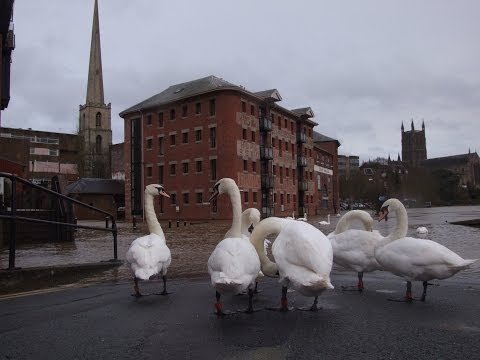 Worcester floods February 2014 (River Severn)