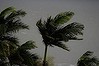 Cyclone Ita, Port Douglas.