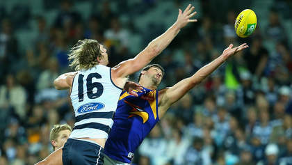 MELBOURNE, AUSTRALIA - APRIL 12:  Dawson Simpson of the Cats competes in the ruck against Dean Cox of the Eagles during the round four AFL match between the Geelong Cats and the West Coast Eagles at Skilled Stadium on April 12, 2014 in Melbourne, Australia.  (Photo by Quinn Rooney/Getty Images)