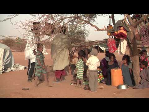 Afflux de réfugiés maliens à Tahoua, Niger (novembre - décembre 2013)