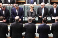 Chris Pyne, Joe Hockey, Julie Bishop, Warren Truss and Tony Abbott