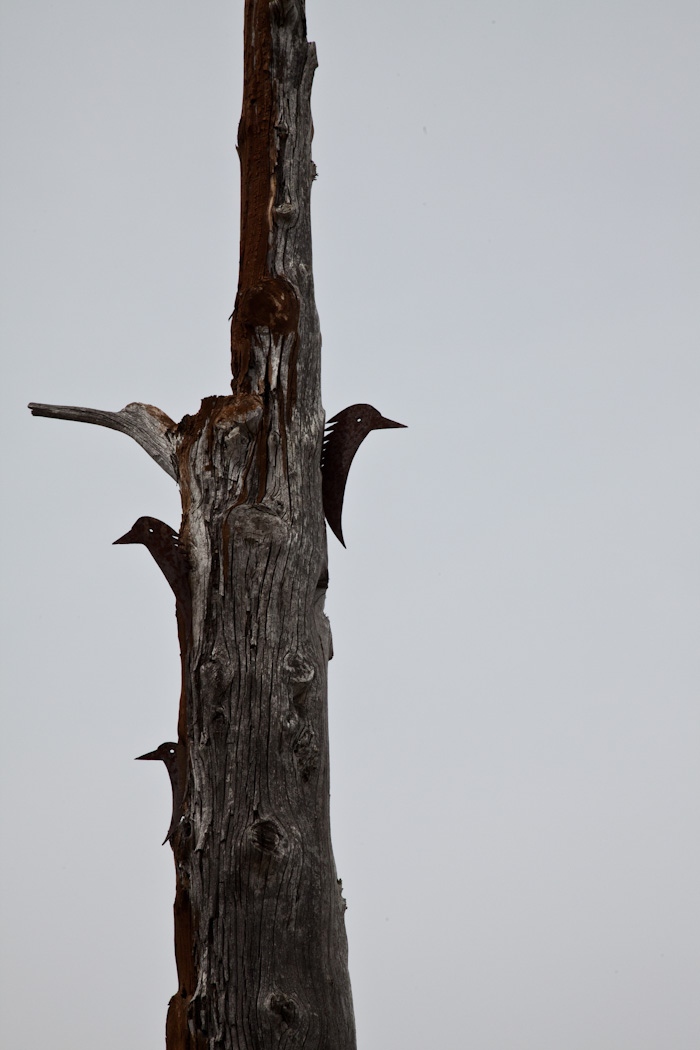 Mjolk_Kitka_Japan_2013--35