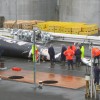 Workers start to dismember a fin whale at the whaling station in Hvalfjordur, about 45 km north of Reykjavik. Credit: Lowana Veal/IPS.