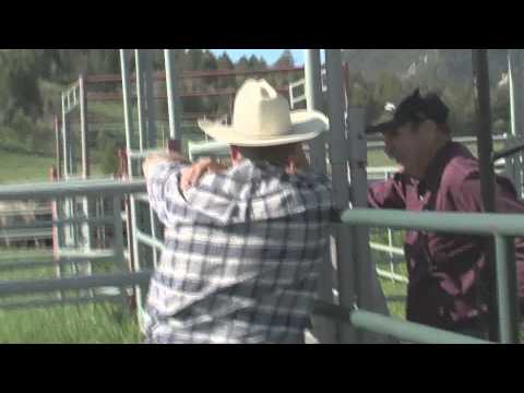 Cattle Ranching (HD 1080i)