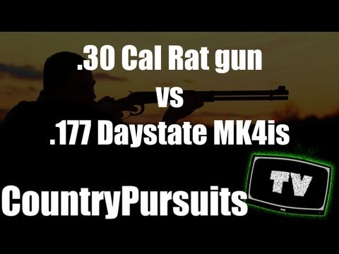 .30 Cal Airgun rat hunting vs .177 Daystate MK4is