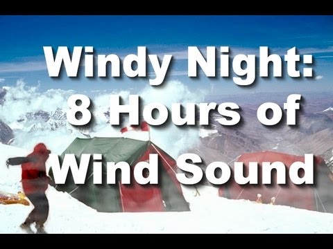 Windy Night : 8 Hr. Long Wind 