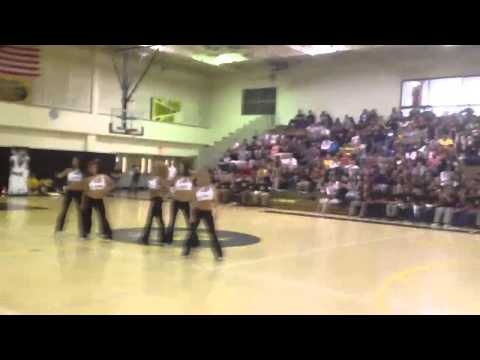 Miami Heat cheerleaders in Miami Sunset Senior high school