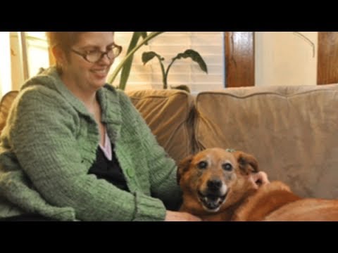 She Has Cancer, A Dog, & Now An Arrest Record - The Reason Is Outrageous