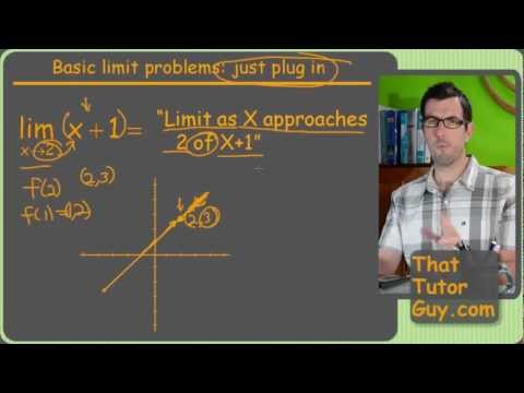 What The Heck Are Limits? -- Calculus -- ThatTutorGuy.com