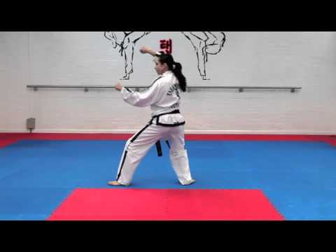 Dan Gun Tul and basic movements for grading to 7th kup