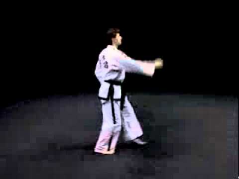 2-DAN-GUN Tul - Taekwon-Do I.T.F.