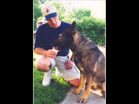 K9 Thunder Tribute